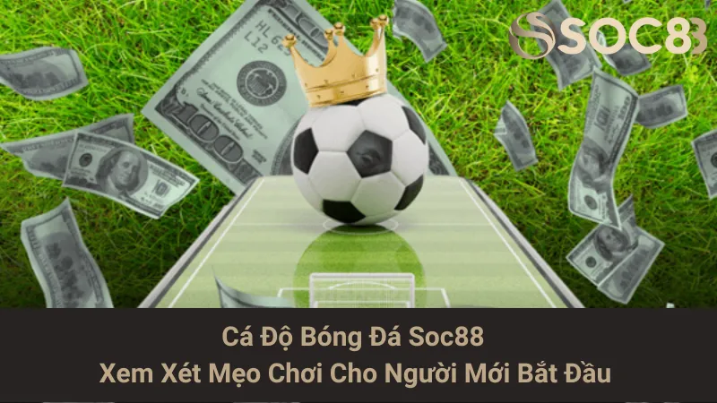 Cá Độ Bóng Đá Soc88 - Xem Xét Mẹo Chơi Cho Người Mới Bắt Đầu