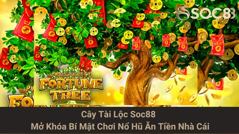Cây Tài Lộc Soc88 - Mở Khóa Bí Mật Chơi Nổ Hũ Ăn Tiền Nhà Cái